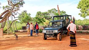 Yala-National-Park-3_50894-290w